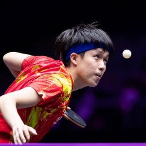 半岛体育app下载-力克樊振东！王楚钦用最硬签位拿下最具含金量冠军