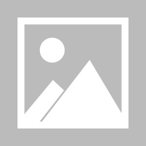 半岛体育全站-【体坛篮球秀】太阳打的是几成雄鹿？垫学心理分析