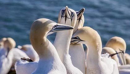 半岛体育全站-掌握app下载的黄金法则：让每一次下载成为生活加速器