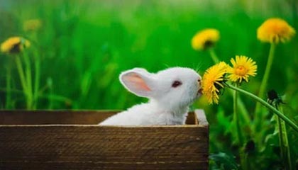 半岛体育入口-云游戏的云端之旅：把游戏带进云端，让体验不用等待